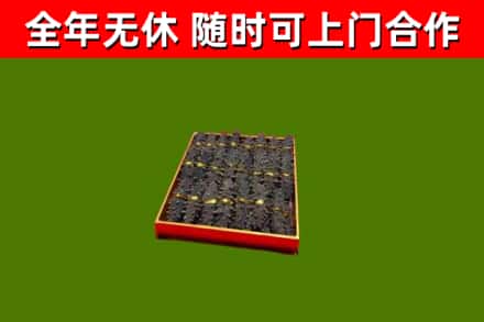 文成县回收海参